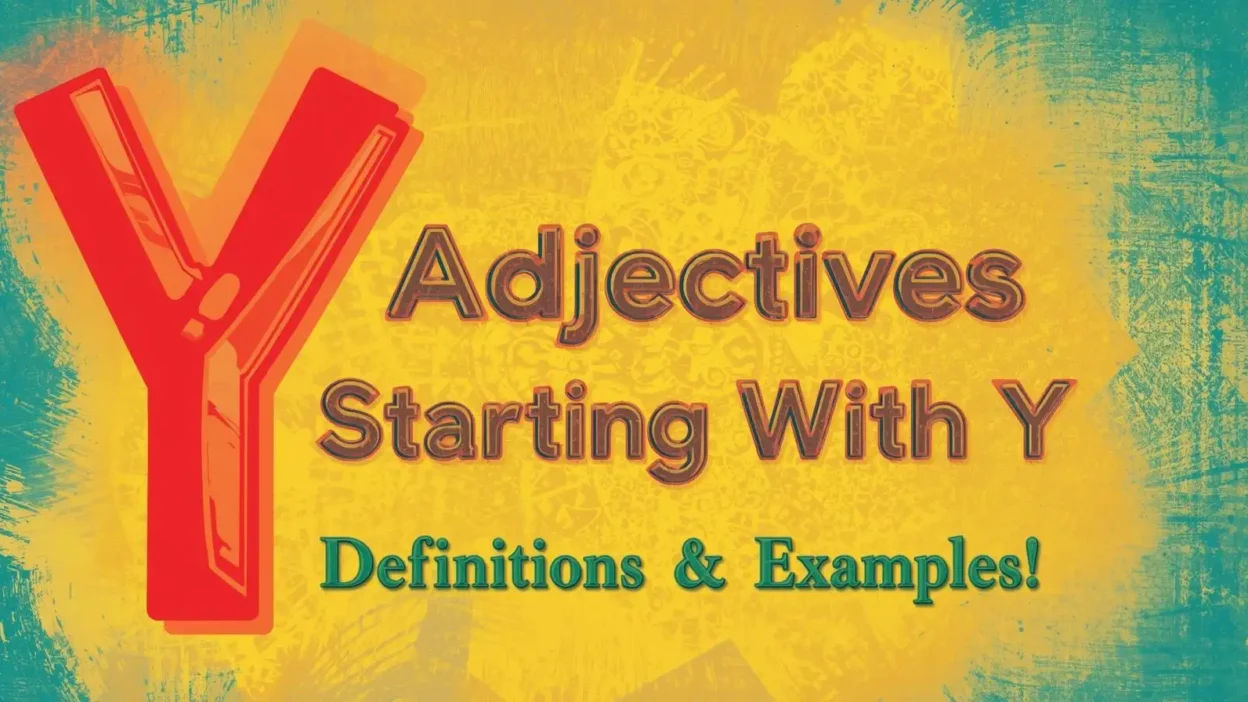 adjectives start with y the ultimate guide